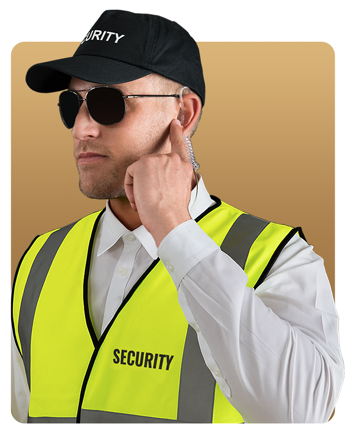 Security Professional